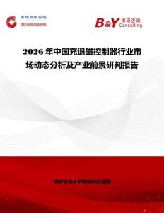 2026年中國充退磁控制器行業市場動態分析及產業前景研判報告