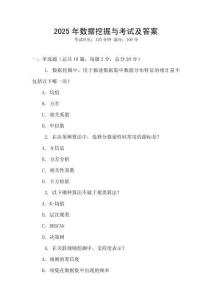 2025年數據挖掘與考試及答案