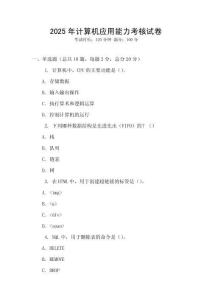 2025年計算機應用能力考核試卷