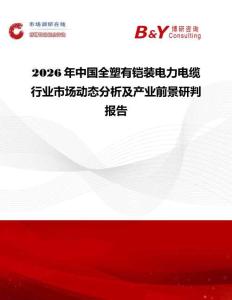 2026年中國全塑有鎧裝電力電纜行業市場動態分析及產業前景研判報告