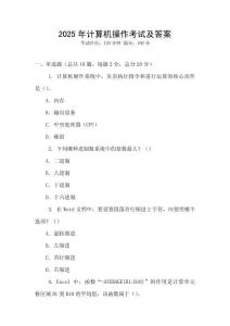 2025年計算機操作考試及答案