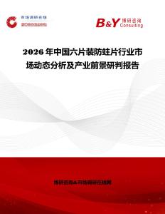 2026年中國六片裝防蛀片行業市場動態分析及產業前景研判報告
