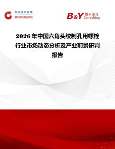2026年中國六角頭絞制孔用螺栓行業市場動態分析及產業前景研判報告