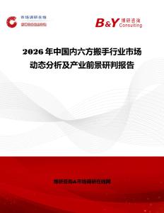 2026年中國內六方搬手行業市場動態分析及產業前景研判報告