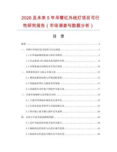 2026及未來5年吊臂紅外線燈項目可行性研究報告（市場調查與數據分析）