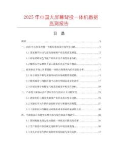 2025年中國大屏幕背投一體機數據監測報告