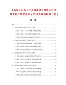 2026及未來5年羊絨高領長袖套頭衫項目可行性研究報告（市場調查與數據分析）
