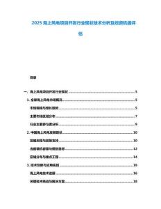 2025海上風(fēng)電項(xiàng)目開發(fā)行業(yè)現(xiàn)狀技術(shù)分析及投資機(jī)遇評估