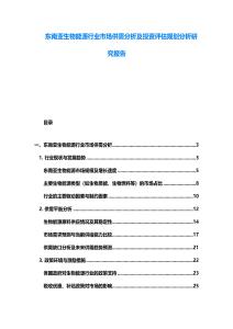 東南亞生物能源行業(yè)市場(chǎng)供需分析及投資評(píng)估規(guī)劃分析研究報(bào)告