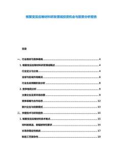 核聚變反應(yīng)堆材料研發(fā)領(lǐng)域投資機(jī)會與前景分析報告