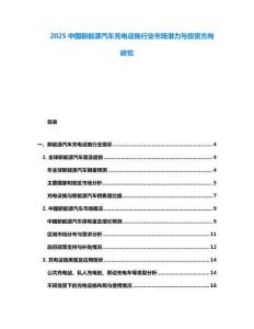 2025中國新能源汽車充電設(shè)施行業(yè)市場潛力與投資方向研究