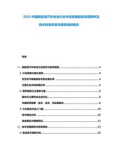 2025中國新能源汽車電池行業(yè)市場發(fā)展趨勢深度解析及技術(shù)研發(fā)和資本前景規(guī)劃報(bào)告