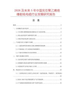 2026及未來5年中國實芯聚乙烯絕緣射線電纜行業(yè)發(fā)展研究報告
