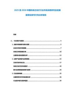 2025至2030中國機場泛光燈行業(yè)市場深度研究及發(fā)展前景投資可行性分析報告