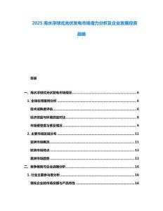 2025海水浮球式光伏發(fā)電市場潛力分析及企業(yè)發(fā)展投資戰(zhàn)略