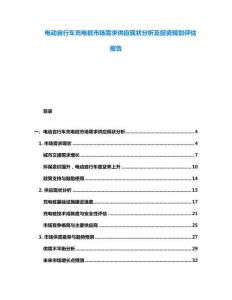 電動自行車充電樁市場需求供應(yīng)現(xiàn)狀分析及投資規(guī)劃評估報告