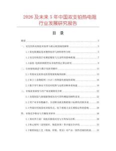 2026及未來5年中國雙支鉑熱電阻行業(yè)發(fā)展研究報(bào)告