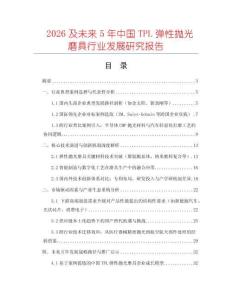 2026及未來5年中國TPL彈性拋光磨具行業(yè)發(fā)展研究報(bào)告