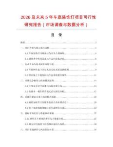 2026及未來5年車底裝飾燈項(xiàng)目可行性研究報(bào)告（市場(chǎng)調(diào)查與數(shù)據(jù)分析）