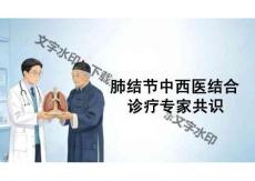2026年醫學課件——肺結節中西醫結合診療專家共識新版