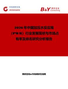 2026年中國加壓水反應堆（PWR）行業發展現狀與市場占有率及排名研究分析報告