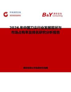 2026年中國(guó)刀尖行業(yè)發(fā)展現(xiàn)狀與市場(chǎng)占有率及排名研究分析報(bào)告