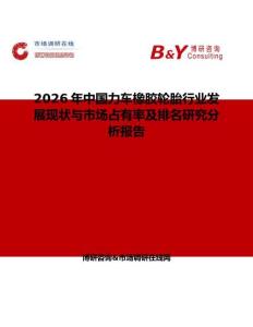 2026年中國力車橡膠輪胎行業(yè)發(fā)展現(xiàn)狀與市場占有率及排名研究分析報告