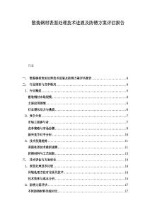 散裝鋼材表面處理技術進展及防銹方案評估報告