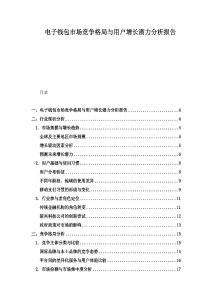 電子錢包市場(chǎng)競(jìng)爭(zhēng)格局與用戶增長(zhǎng)潛力分析報(bào)告