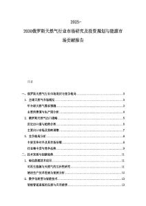 2025-2030俄羅斯天然氣行業市場研究及投資規劃與能源市場貢獻報告