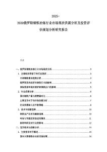 2025-2030俄羅斯鋼鐵冶煉行業市場現狀供需分析及投資評估規劃分析研究報告