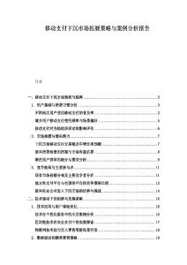 移動支付下沉市場拓展策略與案例分析報告