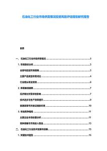 石油化工行業(yè)市場供需情況投資風險評估規(guī)劃研究報告