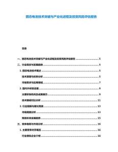 固態(tài)電池技術(shù)突破與產(chǎn)業(yè)化進(jìn)程及投資風(fēng)險評估報告