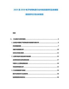 2025至2030電子專用電表行業(yè)市場深度研究及發(fā)展前景投資可行性分析報(bào)告