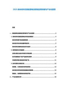 2025納米材料在新能源電池領(lǐng)域應(yīng)用突破與產(chǎn)業(yè)化前景