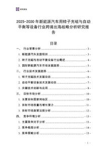 2025-2030年新能源汽車用轉(zhuǎn)子充磁與自動(dòng)平衡等設(shè)備行業(yè)跨境出海戰(zhàn)略分析研究報(bào)告