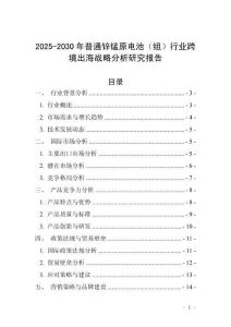 2025-2030年普通鋅錳原電池（組）行業(yè)跨境出海戰(zhàn)略分析研究報(bào)告