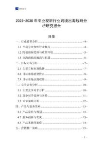 2025-2030年專業(yè)視聽行業(yè)跨境出海戰(zhàn)略分析研究報(bào)告
