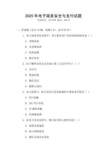 2025年電子商務安全與支付試題