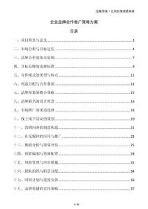 企業(yè)品牌合作推廣策略方案