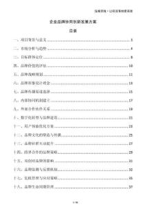 企業(yè)品牌協(xié)同創(chuàng)新發(fā)展方案