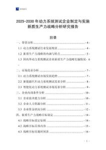 2025-2030年動力系統(tǒng)測試企業(yè)制定與實施新質(zhì)生產(chǎn)力戰(zhàn)略分析研究報告