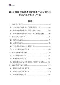 2025-2030年智能終端充儲(chǔ)電產(chǎn)品行業(yè)跨境出海戰(zhàn)略分析研究報(bào)告