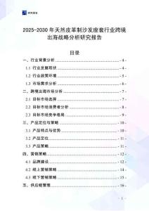 2025-2030年天然皮革制沙發座套行業跨境出海戰略分析研究報告