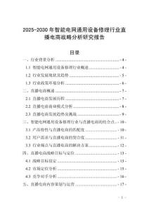 2025-2030年智能電網(wǎng)通用設(shè)備修理行業(yè)直播電商戰(zhàn)略分析研究報(bào)告