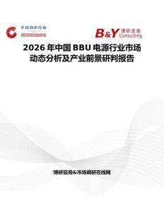 2026年中國BBU電源行業市場動態分析及產業前景研判報告