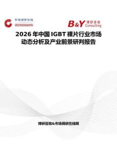 2026年中國IGBT裸片行業市場動態分析及產業前景研判報告