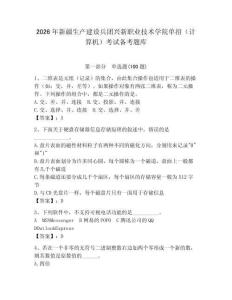2026年新疆生產(chǎn)建設(shè)兵團興新職業(yè)技術(shù)學院單招（計算機）考試備考題庫（奪冠系列）