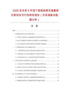 2026及未來5年液下型高揚程無堵塞排污泵項目可行性研究報告（市場調(diào)查與數(shù)據(jù)分析）